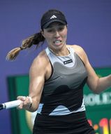 Wyszły na kort z opóźnieniem i stoczyły niesamowity bój. Thriller w ćwierćfinale w Miami