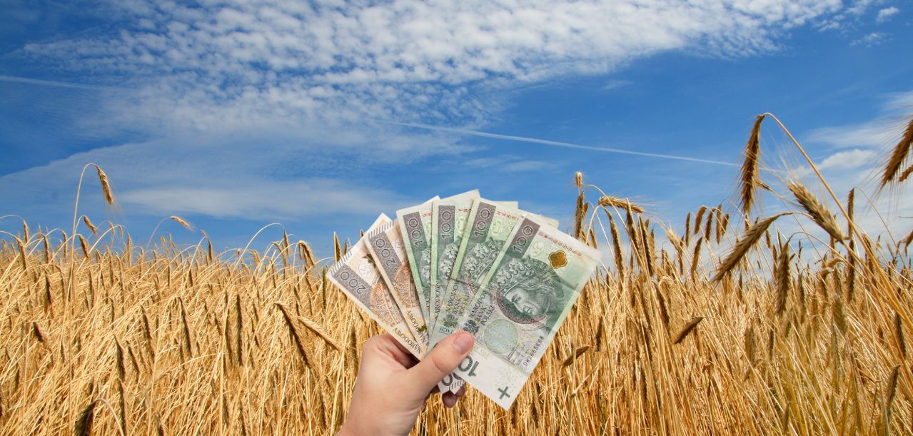 Cena żyta do podatku rolnego 2026 – GUS ogłosił nową stawkę