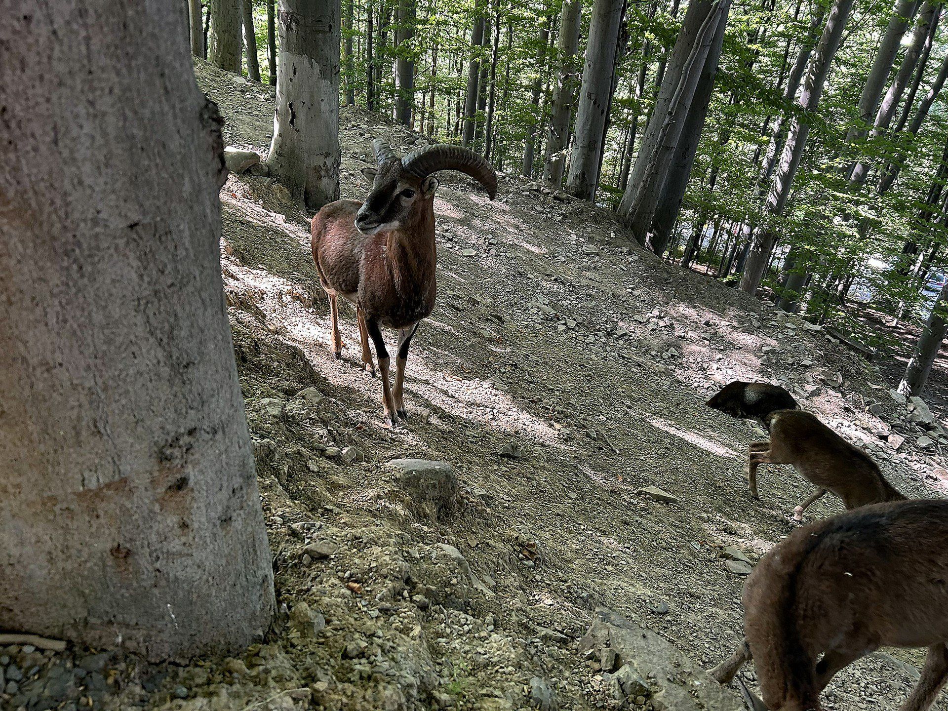 W Leśnym Parku Niespodzianek. W trosce o faunę i florę regionu