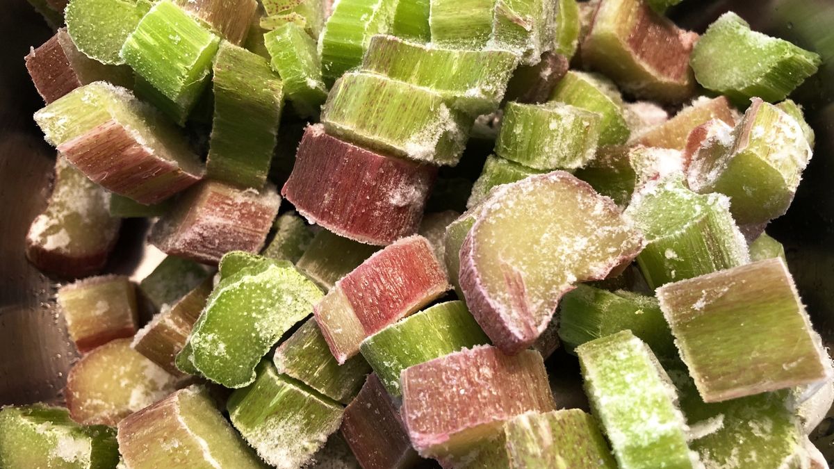 Jak mrozić rabarbar?