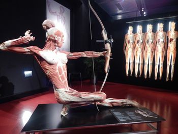 Gubin: Plastynarium, kontrowersyjna atrakcja przy granicy ma już 19 lat