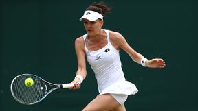 Znana ścieżka Agnieszki Radwańskiej na trawie. Polka powróci do Birmingham