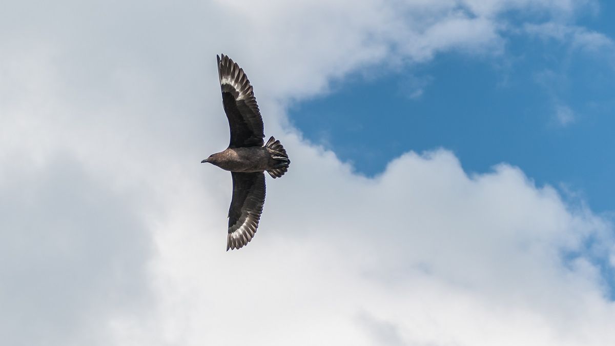 Naukowcy znaleźli najczystsze powietrze na Ziemi