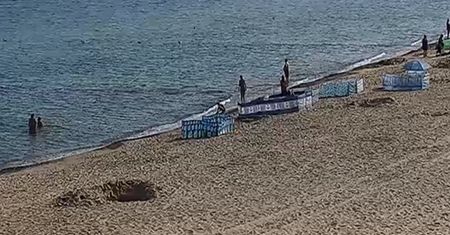 "Królowie plaży" nad Bałtykiem. Zrobili to nad brzegiem