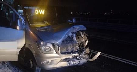 Powiat ostrowiecki – potrącony jeleń i rozbite auto [Foto]