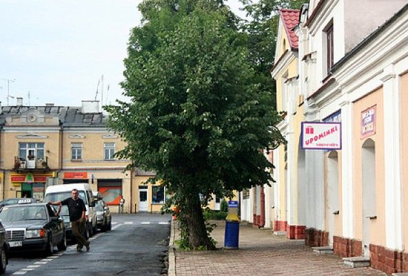 Obraz