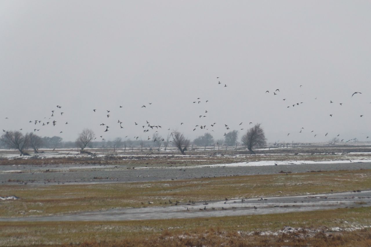 Trwa szczególny czas. "Park zamienia się w wielkie widowisko"