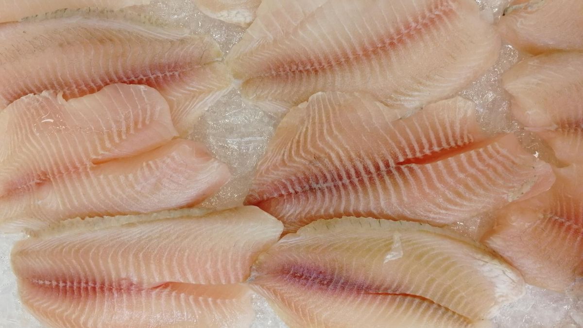 Nie kumuluje rtęci i ma delikatny smak. Ta ryba idealnie nadaje się do jadłospisu dziecka