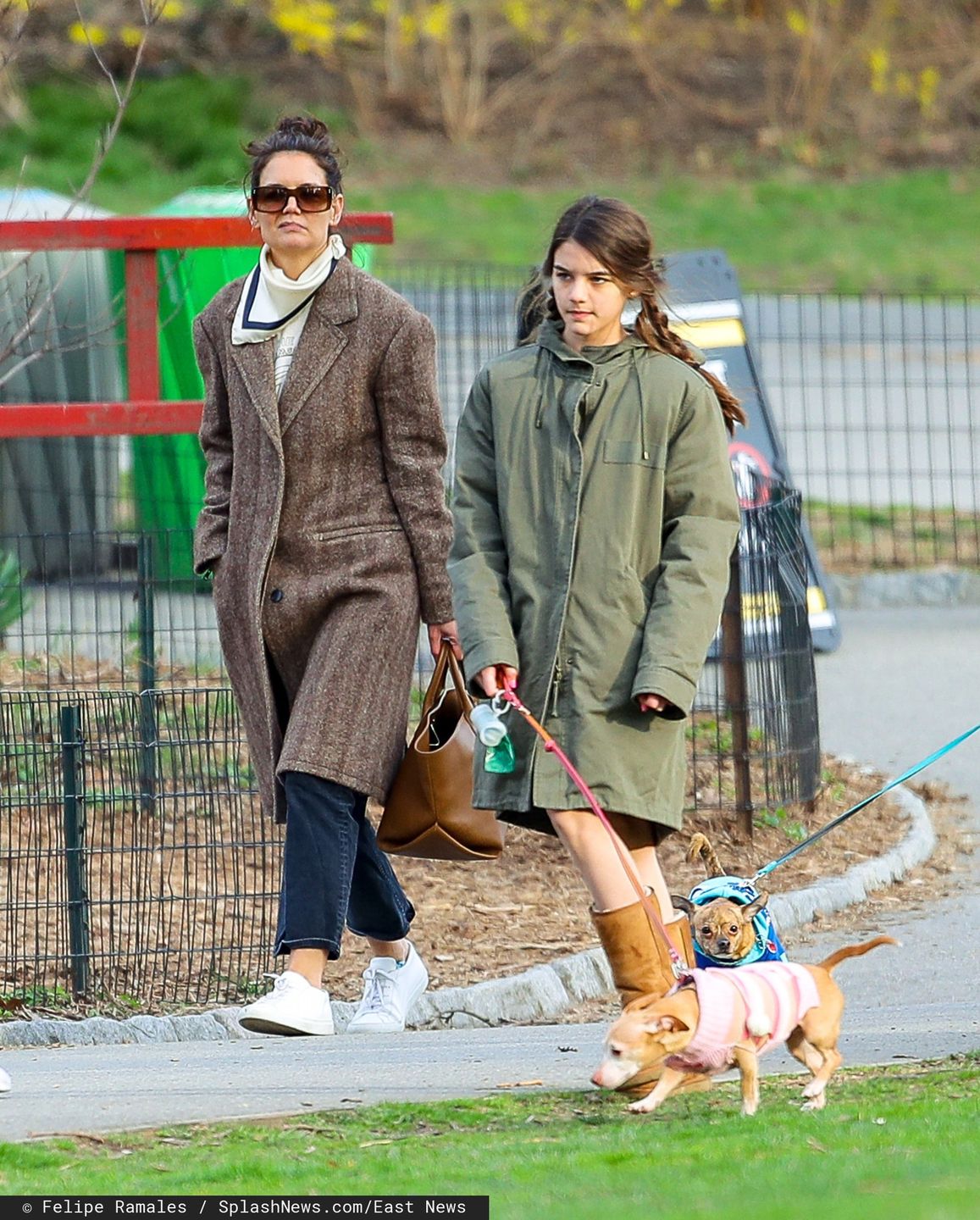 Suri Cruise