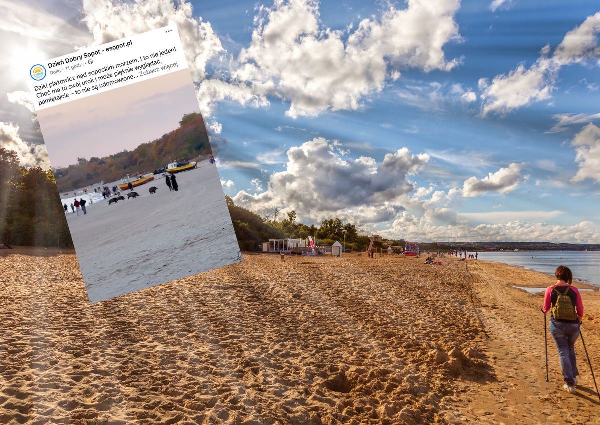 Takie obrazki na sopockiej plaży zaskoczyły wielu 