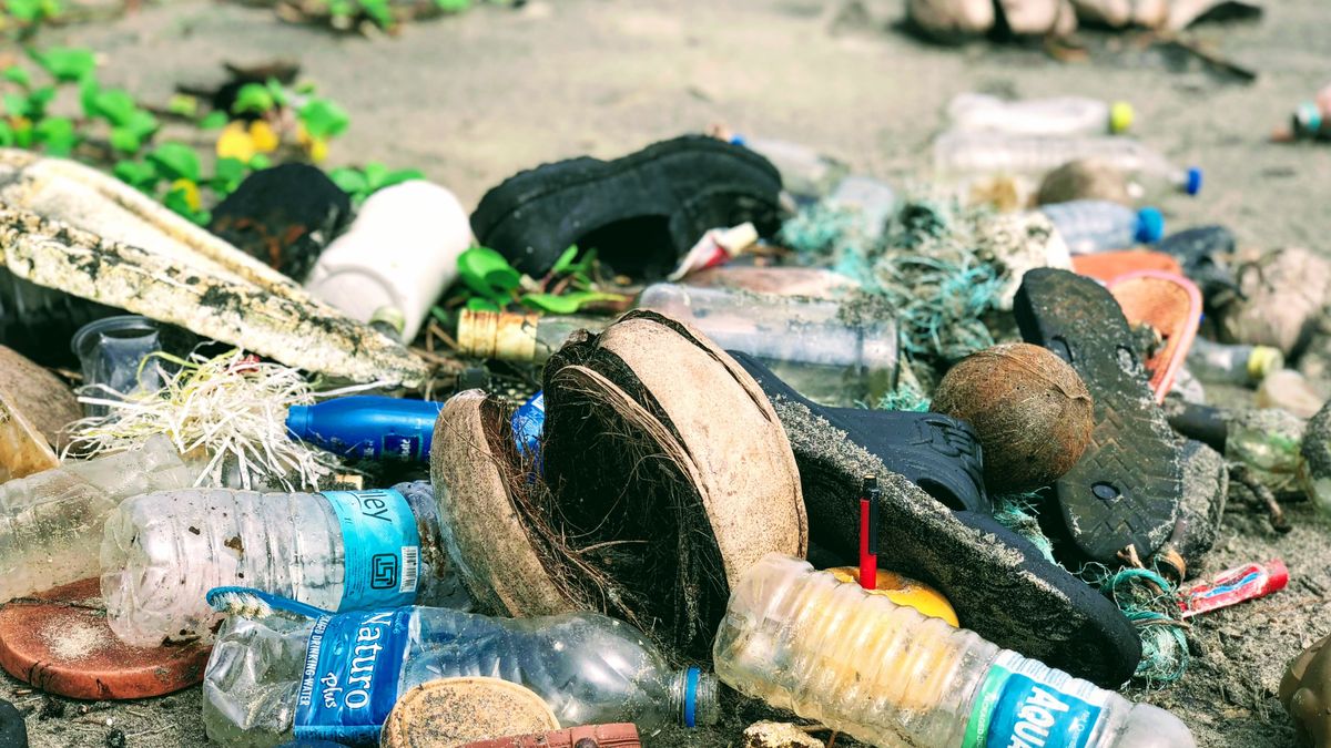 Za wyrzucanie śmieci w nieprzeznaczonych do tego miejscach po zmianach grozić może nawet 25 lat więzienia.