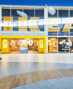 Czesi oburzeni, u nich o wiele drożej. Polecają zakupy w Polsce