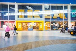 Czesi oburzeni, u nich o wiele drożej. Polecają zakupy w Polsce