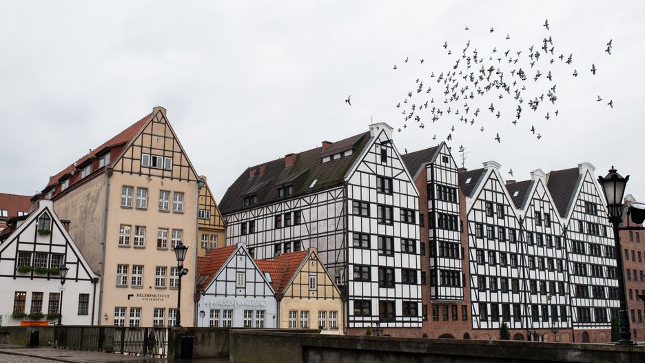 GDANSK, POLAND - 2020/10/21: Birds fly over old houses seen near Motlawa River in Gdansk. (Photo by Mateusz Slodkowski/SOPA Images/LightRocket via Getty Images)
