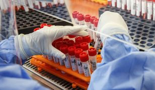 Koronawirus w Polsce. 13 aktywnych ognisk w powiecie poznańskim i Poznaniu. Adwokaci, policjanci, szpital i 2 firmy