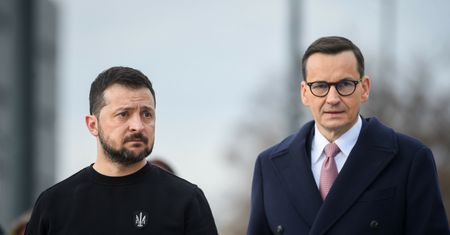 PiS nie ugnie się przed Zełenskim i KE. "Zboże z Ukrainy może być problemem w kampanii"