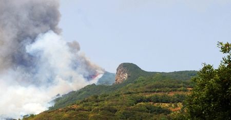 Pożary w Hiszpanii. Setki hekatrów strawione przez ogień