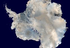 Przerażające wieści z Antarktydy. Tak źle nie było jeszcze nigdy