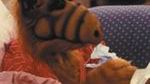 Alf