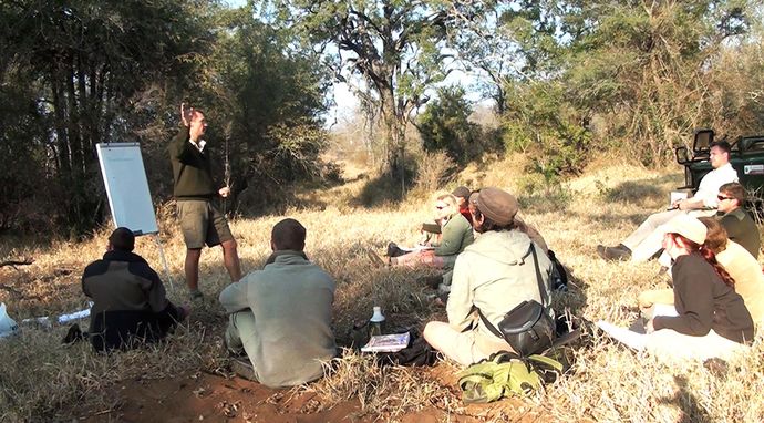 Safari Garonga - chilijczyk na sawannie