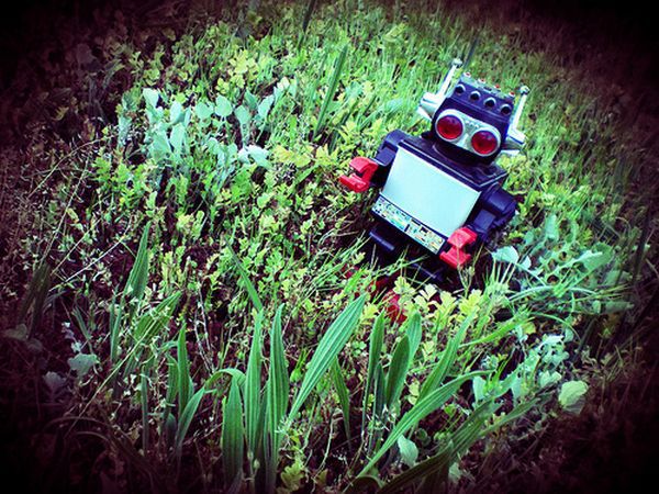 W USA powstaje robot zasilany trawą, liśćmi, gałęziami 2