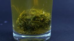 Pij, gdy masz za wysoki cholesterol. Mówią, że to "zioło życia"