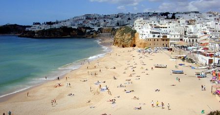 Z Hiszpanii do Algarve. Rzadka roślina odkryta w Portugalii