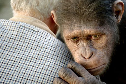 Małpia ewolucja | recenzja filmu Geneza planety małp 2