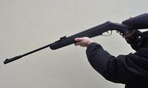 Postrzelił psa. Zwierzę nie żyje. Mężczyzna w rękach policji