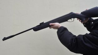 Postrzelił psa. Zwierzę nie żyje. Mężczyzna w rękach policji