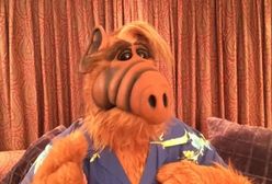 "Alf": uwielbiany serial pogrążył obsadę. Jak potoczyły się losy gwiazd serialu?
