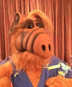 "Alf": uwielbiany serial pogrążył obsadę. Jak potoczyły się losy gwiazd serialu?