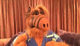 "Alf": uwielbiany serial pogrążył obsadę. Jak potoczyły się losy gwiazd serialu?