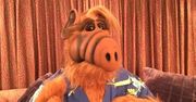 "Alf": uwielbiany serial pogrążył obsadę. Jak potoczyły się losy gwiazd serialu?