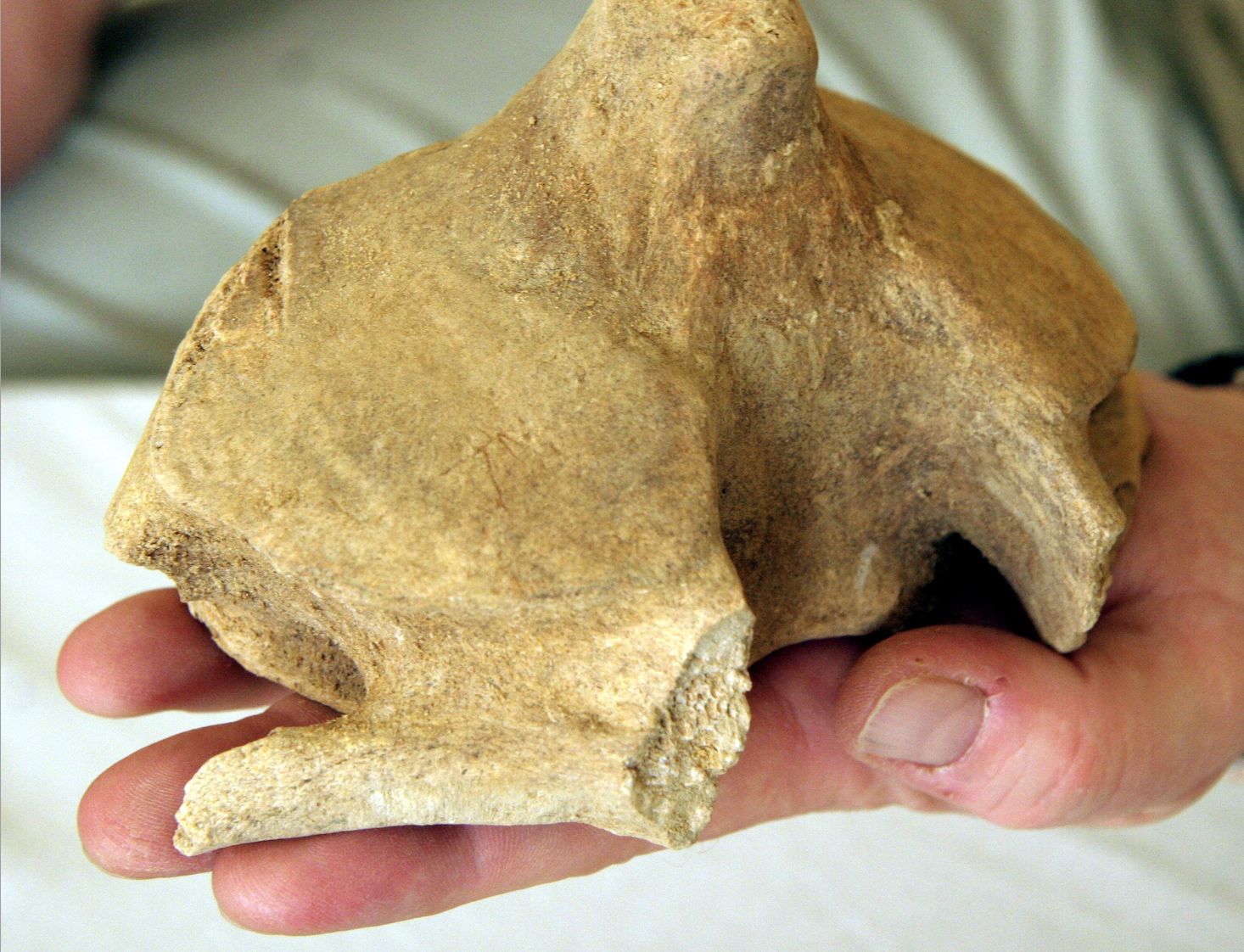 Dobra passa archeologów. Ponad 100 tys. zabytków na budowie drogi na Zamojszczyźnie