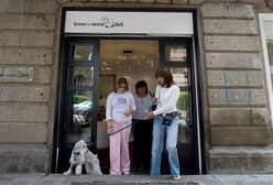 Pieskie życie w Meksyku