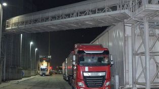 Chcieli podstępem zmieszać pszenicę z żywymi szkodnikami z czystym zbożem. 40 i 34-latek zatrzymani