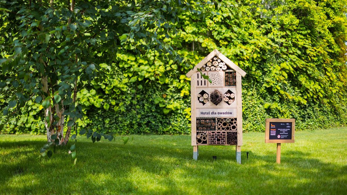 Hotele dla owadów