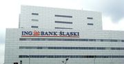 Michał Mrożek został powołany na wiceprezesa ING Banku Śląskiego od 1 VII