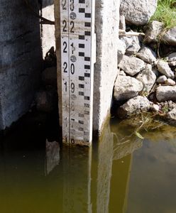 Tak Bielsko-Biała chce walczyć z suszą. Mieszkańcy mają łapać deszczówkę