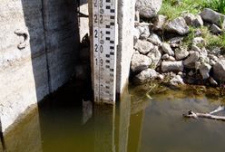 Tak Bielsko-Biała chce walczyć z suszą. Mieszkańcy mają łapać deszczówkę