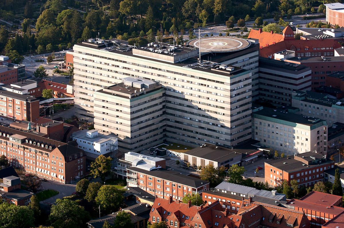 Szpital w Malmo mierzy się z plagą much