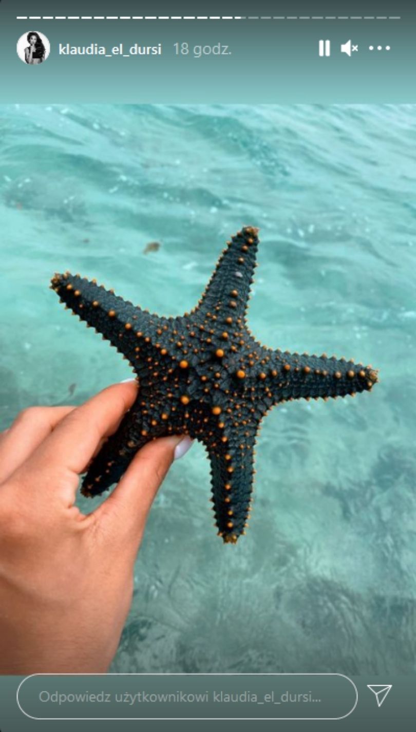 Klauda El Dursi relacjonuje rodzinne wakacje na Zanzibarze i robie zdjęcia rozgwiazdom