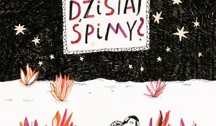Gdzie dzisiaj śpimy?