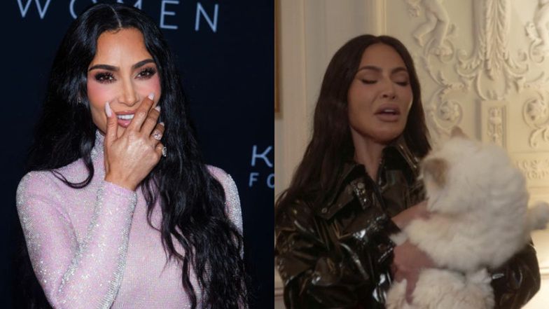 Kim Kardashian's met Karl Lagerfeld's $13 million cat. That was unfortunate