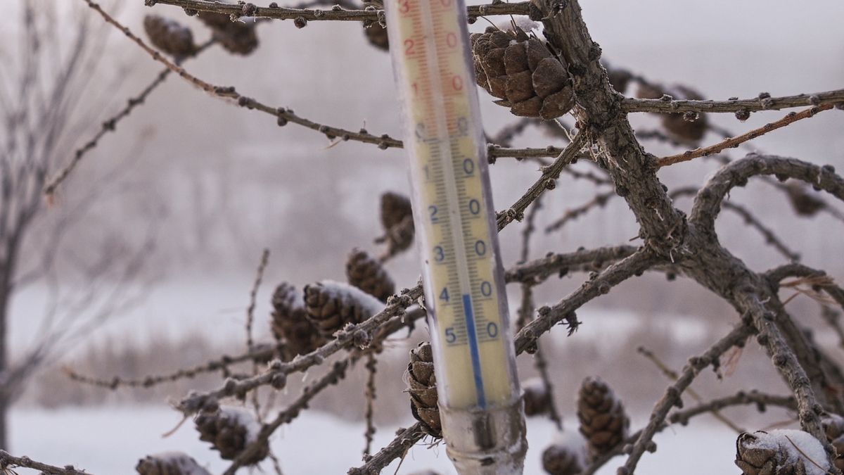 Prognoza długoterminowa na listopad