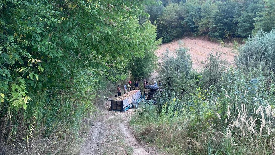 Miejsce zdarzenia