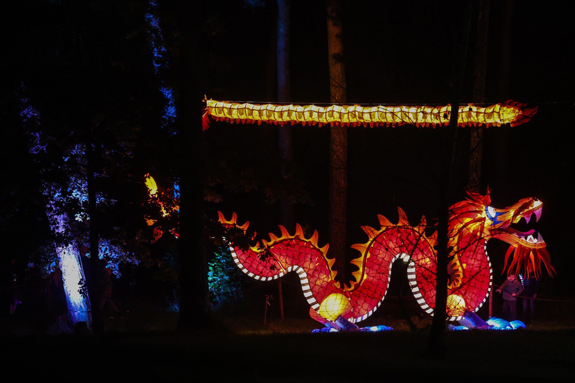 Lumina Park Poznań