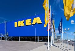 Ikea szuka pracowników do grania na komputerze. Kusi stawką