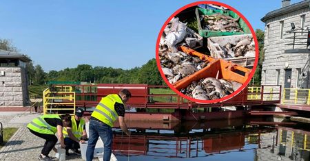 450 kilogramów śniętych ryb. Wojewoda podjął kolejną decyzję